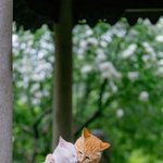 혼자 <b>보단</b> 둘이 더 좋은 이유?!