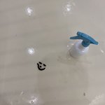 [이것좀봐줘] 우리 집 강아지가 <b>응가</b>로 내 얼굴 그려 줌