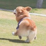 요즘 재밌는 <b>웹툰</b> 뭐잇엉