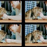 내 최애가 고양이 만지는 거 봐줄사람