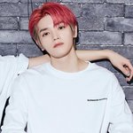 [NCT즌] 툥이는 <b>요사</b>진 뿐이냐
