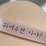 다이소 <b>퍼프</b>는 왜