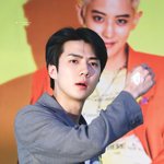 기여운 <b>세후</b>니