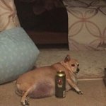 [댓글부탁해] <b>미샤</b> 레이스 셔링 구하는법 없냐 ㅠㅠㅠ