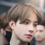 [모두드루와] 청순악개가 쓰는 <b>nct</b>청순즈 관련글