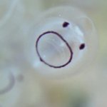 백현이 아기<b>멍게</b>는 맞잖아