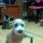 [드루와] 아이폰 보라색 ㅈㄴ<b>질림</b> ㅋㅋㅋ