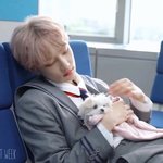 [더보이즈] 차니와 <b>모리</b>