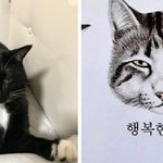 굉장히 <b>평온</b>하고 행복한 상태에요!