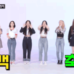 [<b>로켓</b>펀치] 애들 진짜 8개월동안 기모았나봐