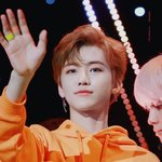 [NCT즌] 나재민 갈발 해주면<b>안도</b>ㅑ?