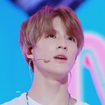 [NCT즌] 제노는 갈발리트리버