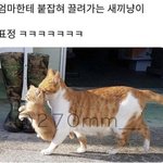 고1들아 너희 적응 많이 했니