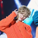 [세븐틴] 개귀여운 슈아나 보자