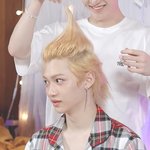 [스키즈] 뽁이 머리 이거 닮았어 ㅋㅋㅋㅋㅋㅋㅠㅠㅠ
