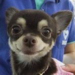[이것좀봐줘] <b>레즈</b>들아 니네가 보기엔 어때