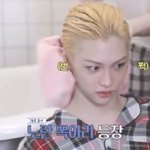 <b>필릭스</b> 개이쁘다