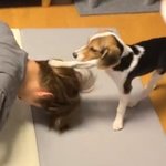 [NCT즌] 웨깅이들 다 중국 가면 <b>벨라</b>루이리온이는 어떻게 되는거지?