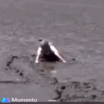 [NCT즌] 나재민 <b>짱아</b>설