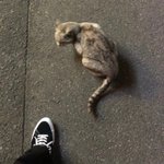 [BTOB] 이거 <b>현식</b>이야..?