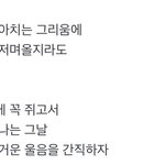 [세븐틴] 이건 반칙이지