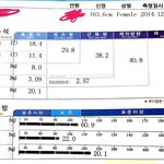 운동을 좋아하게 됐고 뭐든 적당히 먹은 6년 후 결과