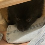 아 내샊꾸들 너무 귀여워 <b>주글</b>거같아