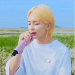 [세븐틴] <b>하니</b>ㅠㅜㅠㅠ