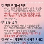 [세븐틴] 얘들아 공지