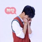 [NCT즌] 야 근데 드림애들 이마크 진심으로 귀여워하지않냐