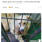 사진) 사람보다 개가 <b>우선</b>인 증거