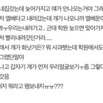 [드루와] 친구한테 펨보낼까말까 ㅊㅂ 좀 ㅠㅠㅈㅂ