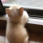 [댓글부탁해] 얘들아 어제 <b>파마</b>했는데