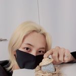 [세븐틴] 와 눈이 <b>무슨</b> 왕밤빵만<b>해</b>