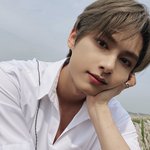 [세븐틴] 머냐 문증히!!!!!!!!!!!!!!!!!!!!!!