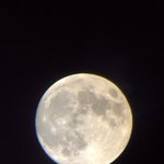 [드루와] 로제 장원영만큼 엄청 <b>개말라인</b> 애들