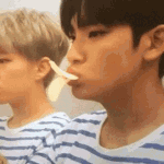[세븐틴] <b>오리</b>틴