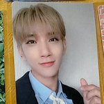 [세븐틴] 사담인데 시세 아는사람
