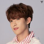 [세븐틴] 이게 코코인지 <b>도겸</b>인지