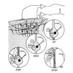 "전파로 사람을 감시한다" 전파무기(마인드컨트롤 세뇌 프로그램 무기)