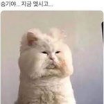 아이돌 음악방송 출연이 극한 스케줄인 이유