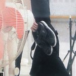 [NCT즌] 헐 <b>볼링장</b>인가??