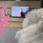 [세븐틴] 누나들 <b>보리</b> 다시 왔어요