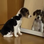 [NCT즌] 벨라 많이 컸네…