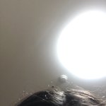 아니ㅜ야 머리 <b>잡초</b> 진짜 어캄