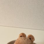 [NCT즌] 헐 정우 강쥐 인형 보고도 구매<b>욕구</b> 안 들었는데