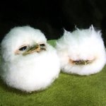 [댓글부탁해] 아놔 내 <b>잼민</b> 남동생 아