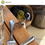 <b>바비</b>가 킹덤에서 왜 그러는지 알겠음