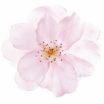 [댓글부탁해] 우주상향은 어느 정도가 우주상<b>향임</b>?