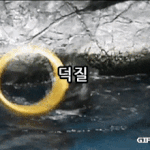 [세븐틴] 이거 지금 내 심정